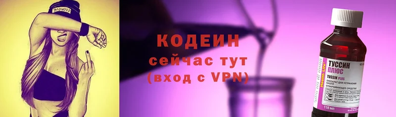 Кодеиновый сироп Lean Purple Drank  Старая Русса 