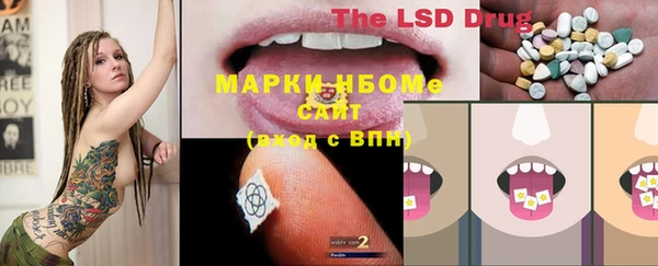 гашик Козельск