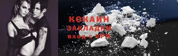 гашик Козельск