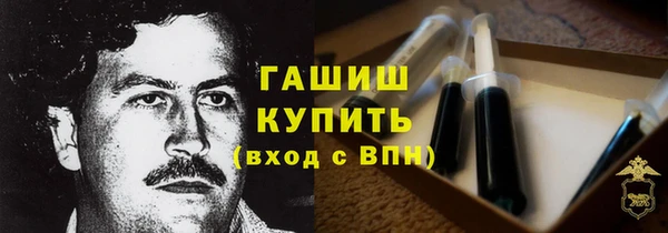 гашик Козельск