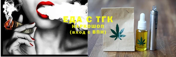 гашик Козельск