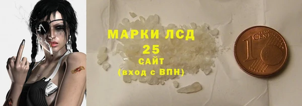 гашик Козельск