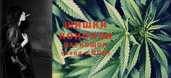гашик Козельск