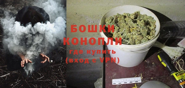 гашик Костерёво