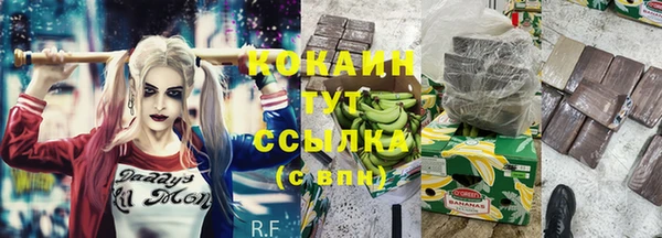 гашик Козельск