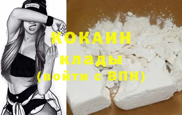 гашик Козельск