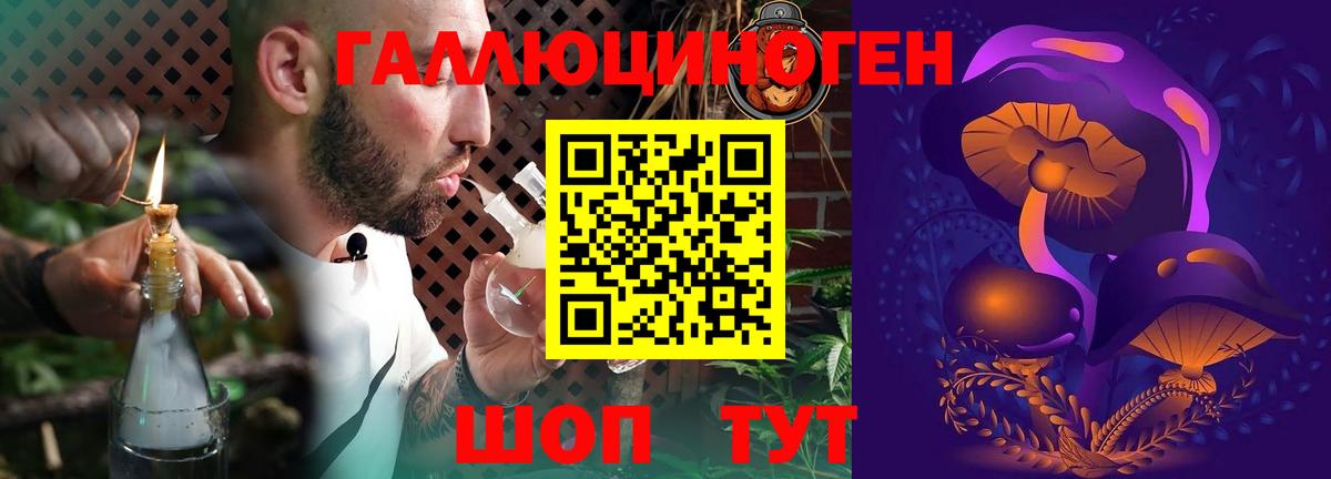 Старая Русса  Псилоцибиновые грибы Psilocybine cubensis  Вход с VPN 