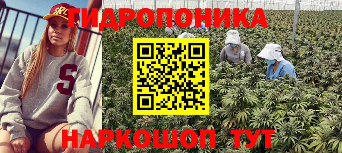 Каннабис VHQ  Конопля сатива  МАРИХУАНА сатива  Вход с VPN  Старая Русса 